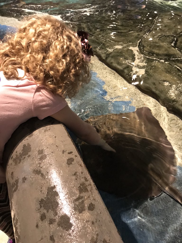 MissChristieKClass tweet media