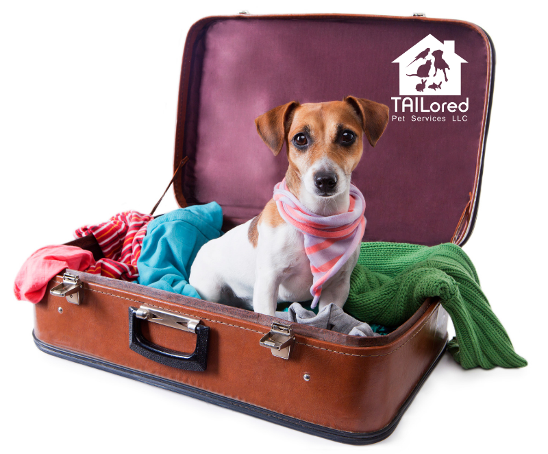 Do you want to take your pet on vacation with you every time you go away? We have some travel tips for you as to when you should travel with your pet: ow.ly/Twhp50mQi67
#petcare #petvacation #pets #petservices #dogs #cats #dogwalking #dogboarding #catsitting #catboarding