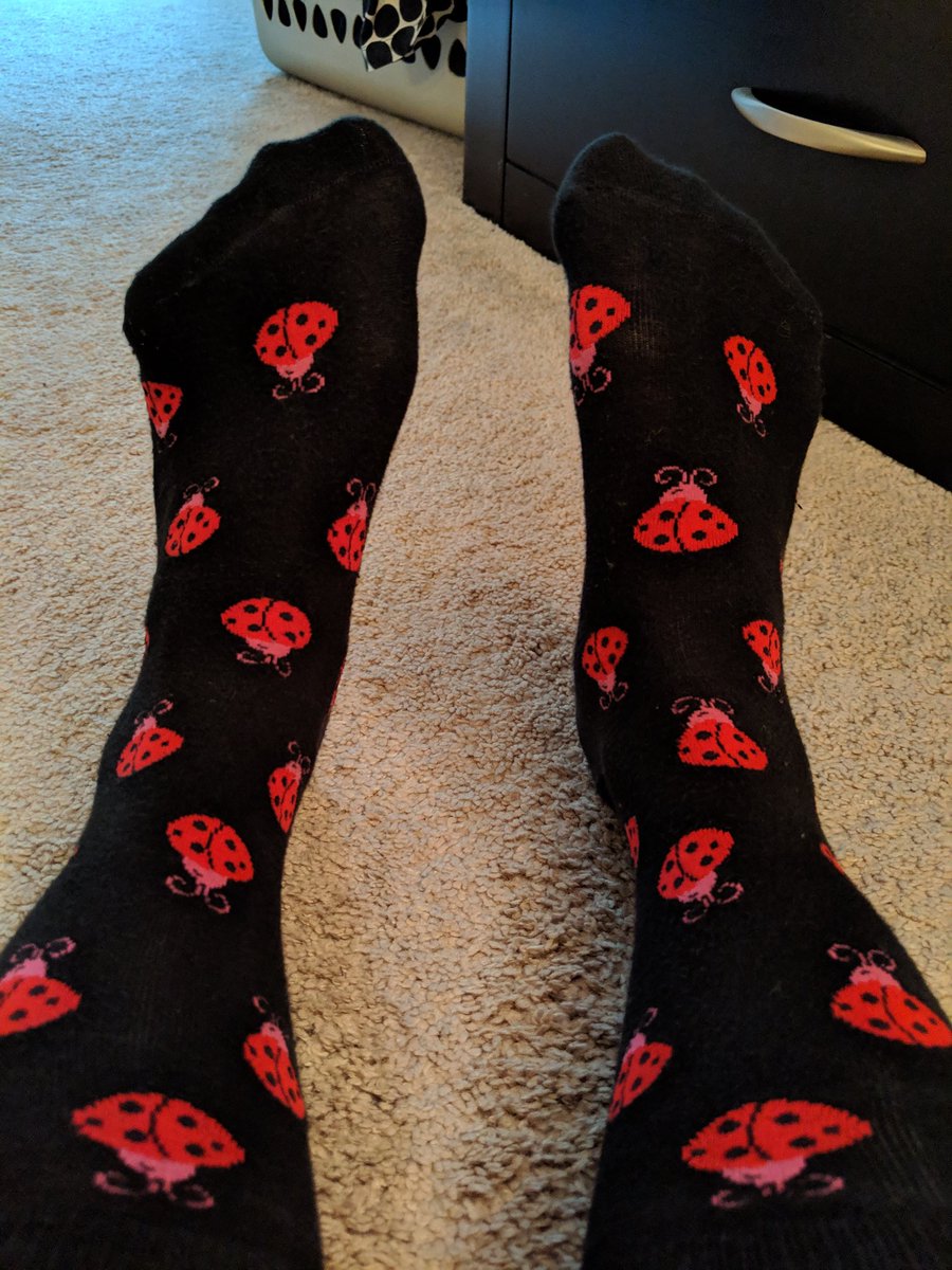 UFCitrusBugs's tweet photo. Another pair of #bugsocks ! Today I have the pleasure of talking to elementary students at the Polk Co Extension Center about π production and a little about what I do π
@UFIFASCitrusREC #UFBugs https://t.co/5TRjEPbTU3