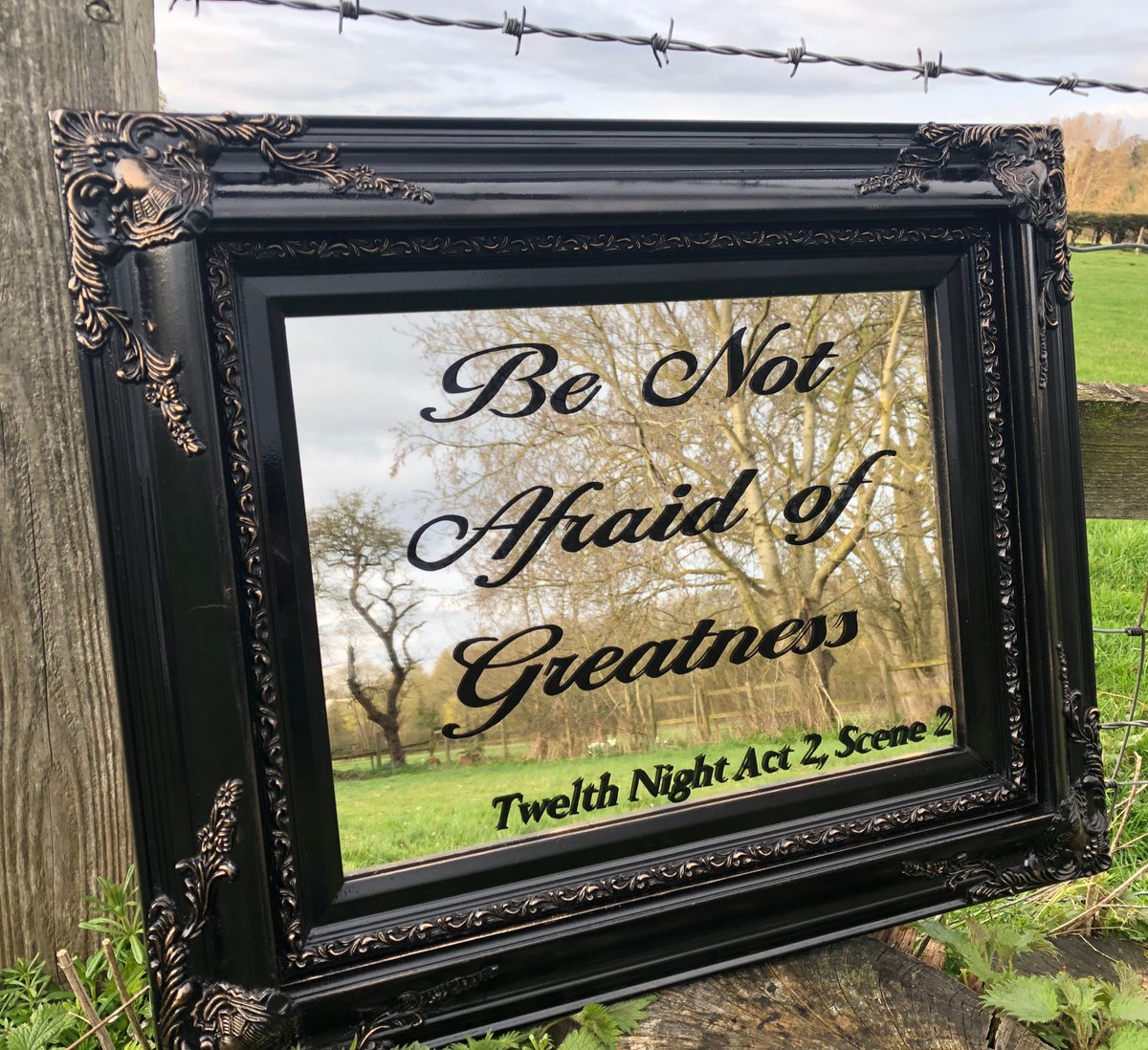 TangoandTwist's tweet photo. She looks familiar?! My #personalised #mirrors #handlettering #antiqueframes #giltlettering have a new home on @TaraCMirrors unique pieces #signwriter #interiors https://t.co/Hl9Fk2ZvYO