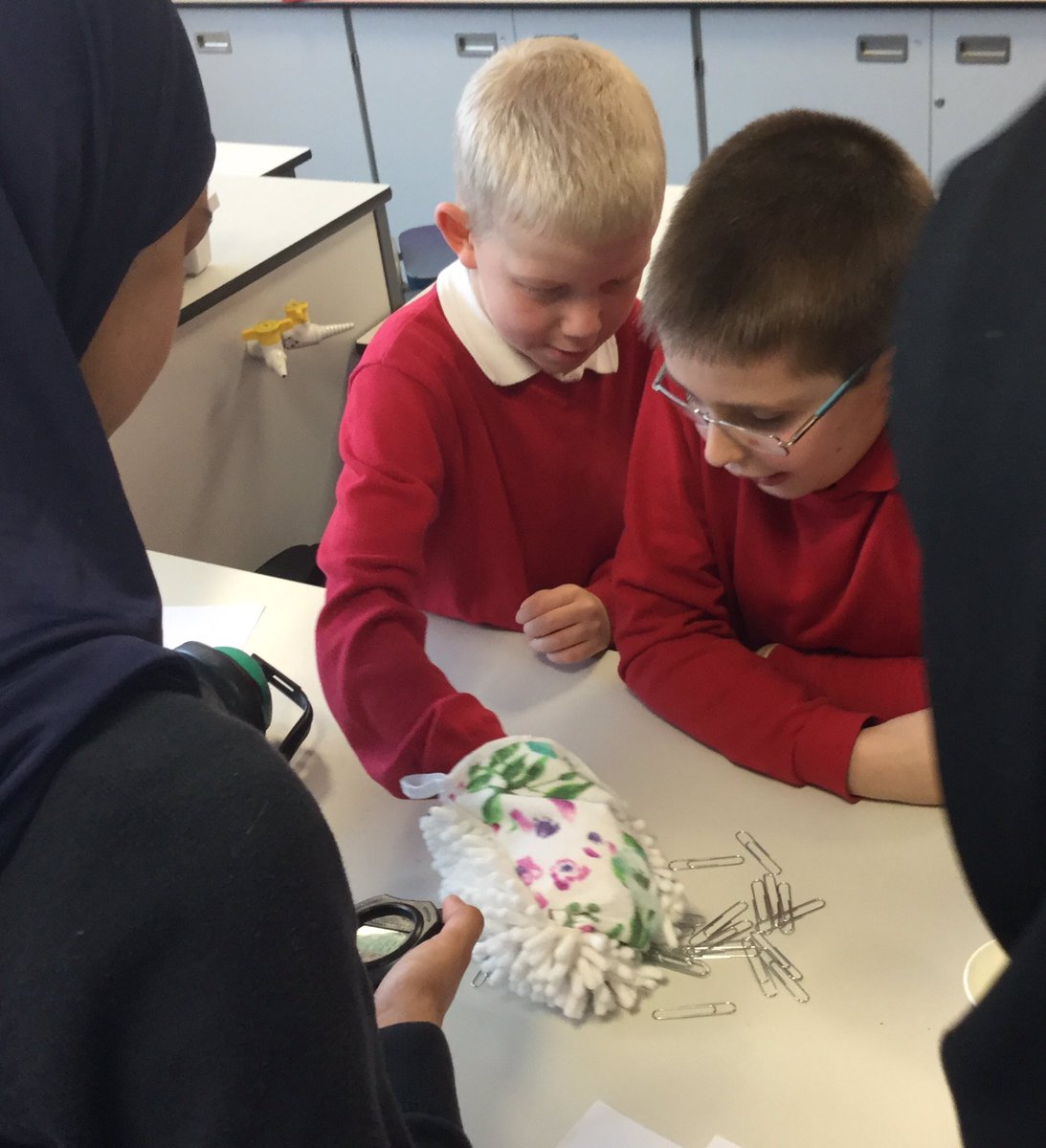 Llan_Prim_Sch's tweet photo. Senses working overtime #science #stteilos https://t.co/wDPBPaNw1Y