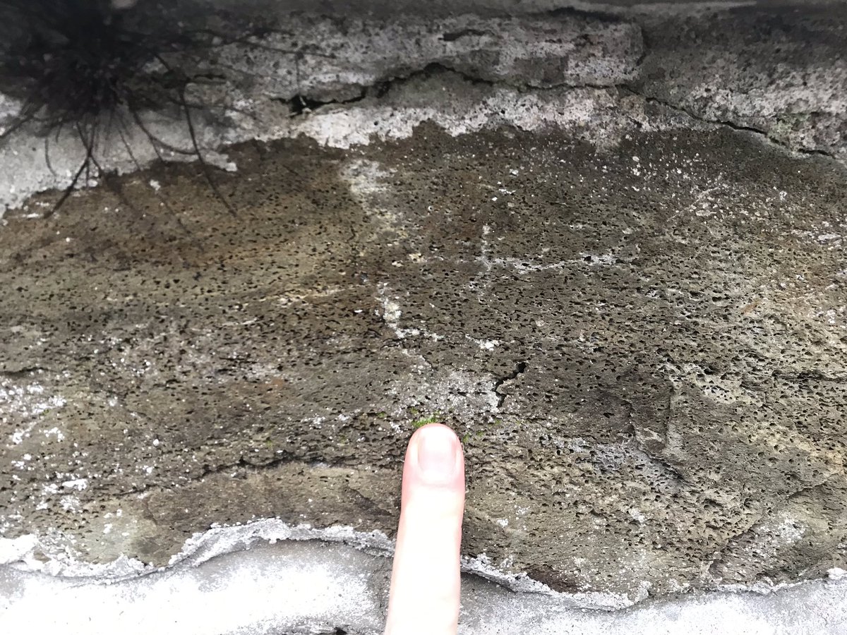 DrJodieFisher's tweet photo. I love plymouth #geology Between the Devonian slates my house is built on and the amazing plymouth limestone on the Hoe, I walk to work through some 350 Ma basaltic lava that’s been used to make all the local walls #walkthroughtime #urbangeology https://t.co/r0nK4EEy6V