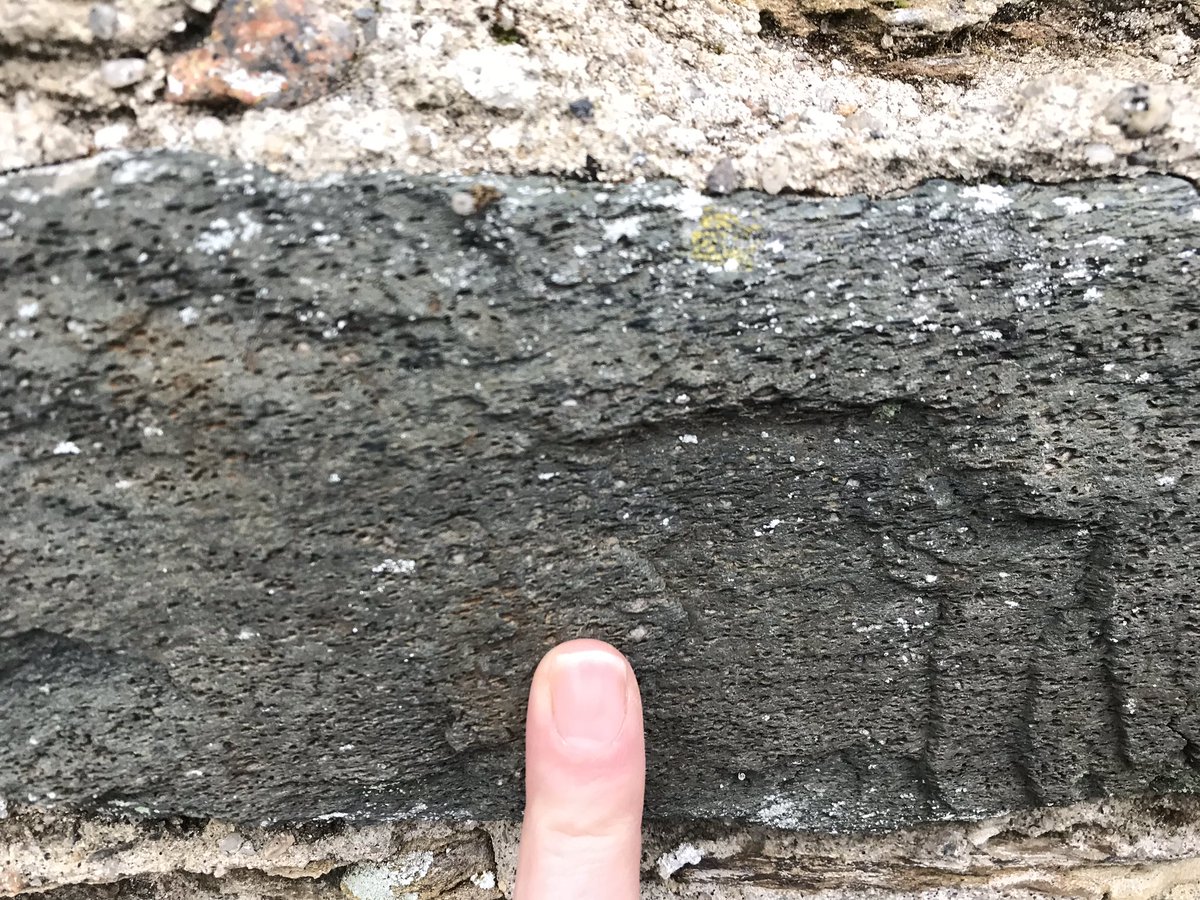 DrJodieFisher's tweet photo. I love plymouth #geology Between the Devonian slates my house is built on and the amazing plymouth limestone on the Hoe, I walk to work through some 350 Ma basaltic lava that’s been used to make all the local walls #walkthroughtime #urbangeology https://t.co/r0nK4EEy6V