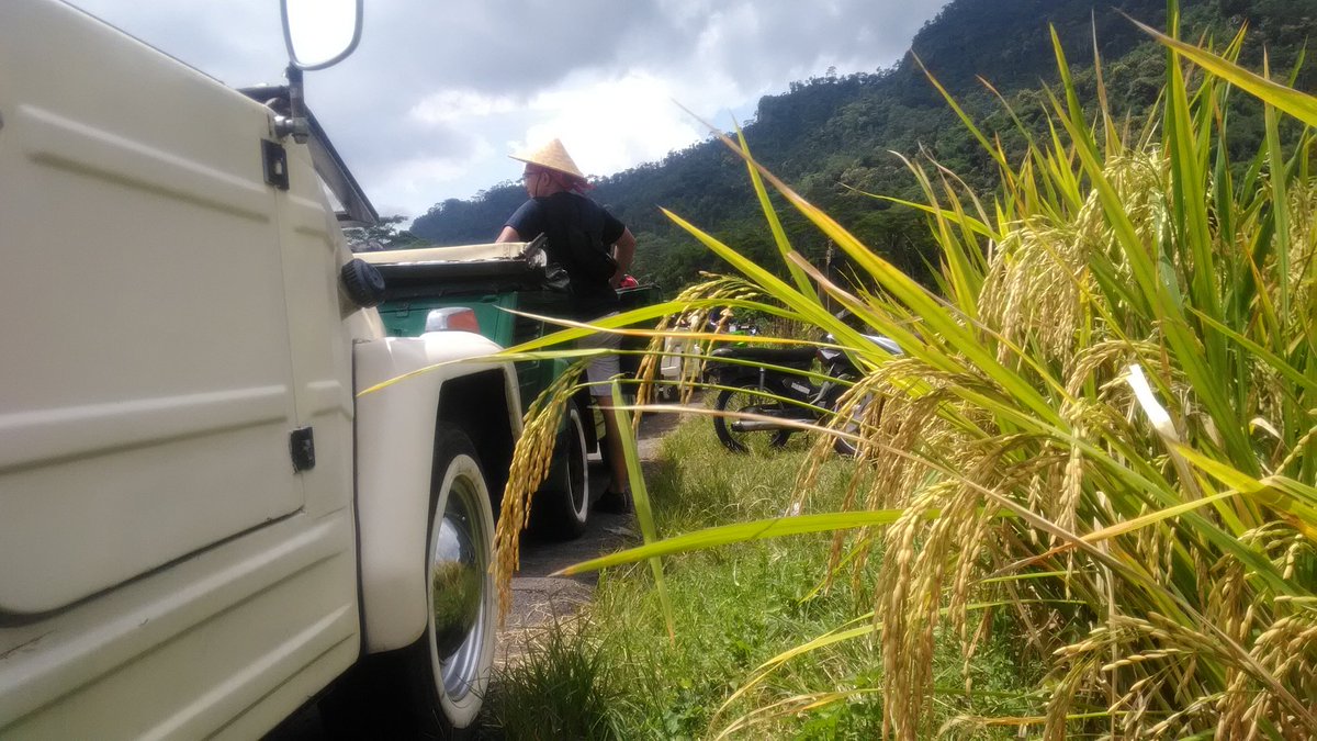 indonesia_itx's tweet photo. Melintasi sawah didataran Magelang. Bloopers Day 2. Yogyakarta 19 - 22 Maret 2019 #THS #DCOOuting2019 #SynergyWayofDisruption #alwaysthebest #alwaysthestar #alwaysthewinner #jacksparrow @A_Sugiarto2015 https://t.co/fxhJQRxAI8
