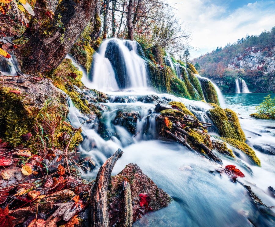 andrewmayovskyy's tweet photo. #Autumn in #Plitvice, #Croatia.
More of my photos https://t.co/grXgnUyyRH
#shutterstock #waterfall #fall #forest #flow #lake https://t.co/kMSBwjkdNN