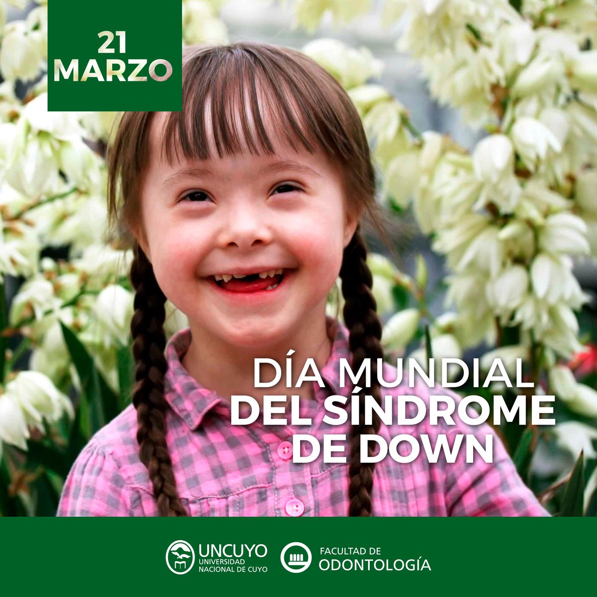 fodonto's tweet photo. Desde el Centro de Atención Odontológica al Discapacitado #CAOD y desde la #FO @UNCuyo, apostamos a la inclusión para y a la aceptación del otro tal cual es ♥ #DiaMundialdelSindromedeDown https://t.co/5H85mE9R94