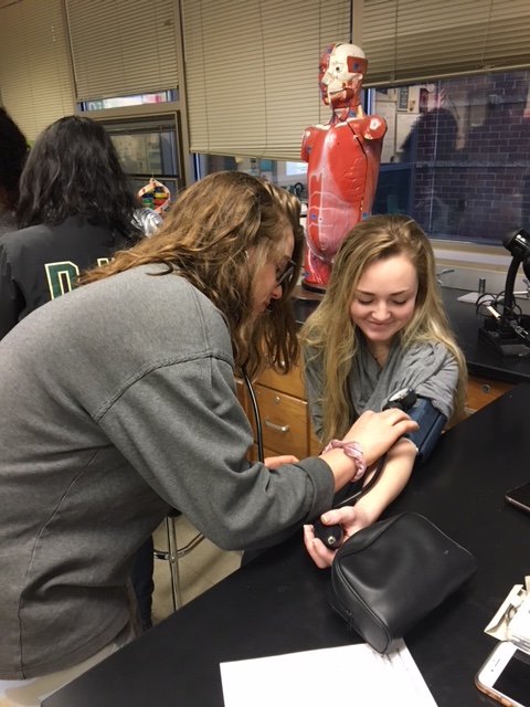 DJHSIB's tweet photo. Jerome IB Biology students learning to take blood pressure.
@dublinjeromehs @DublinIB https://t.co/zuefZH1oxm