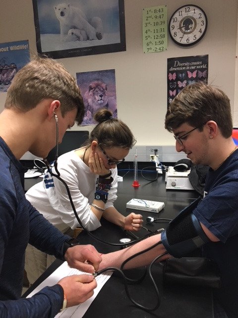DJHSIB's tweet photo. Jerome IB Biology students learning to take blood pressure.
@dublinjeromehs @DublinIB https://t.co/zuefZH1oxm