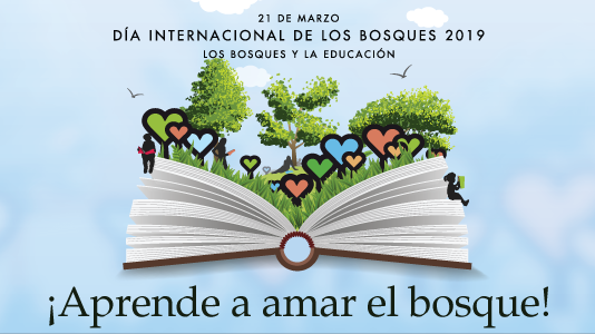 EDITORIALUS's tweet photo. Por ser el #DíaInternacionaldelosBosques no te vendría nada mal leer 'Objetivo: planeta Tierra' 🌳 Esta obra premiada en la gala #ASECAN2019 como mejor libro de cine, conciencia de lo necesario que es cuidar el #medioambiente.

Hazte con ella en https://t.co/hiDnLlOMww 😊 https://t.co/Eby4feAyVM