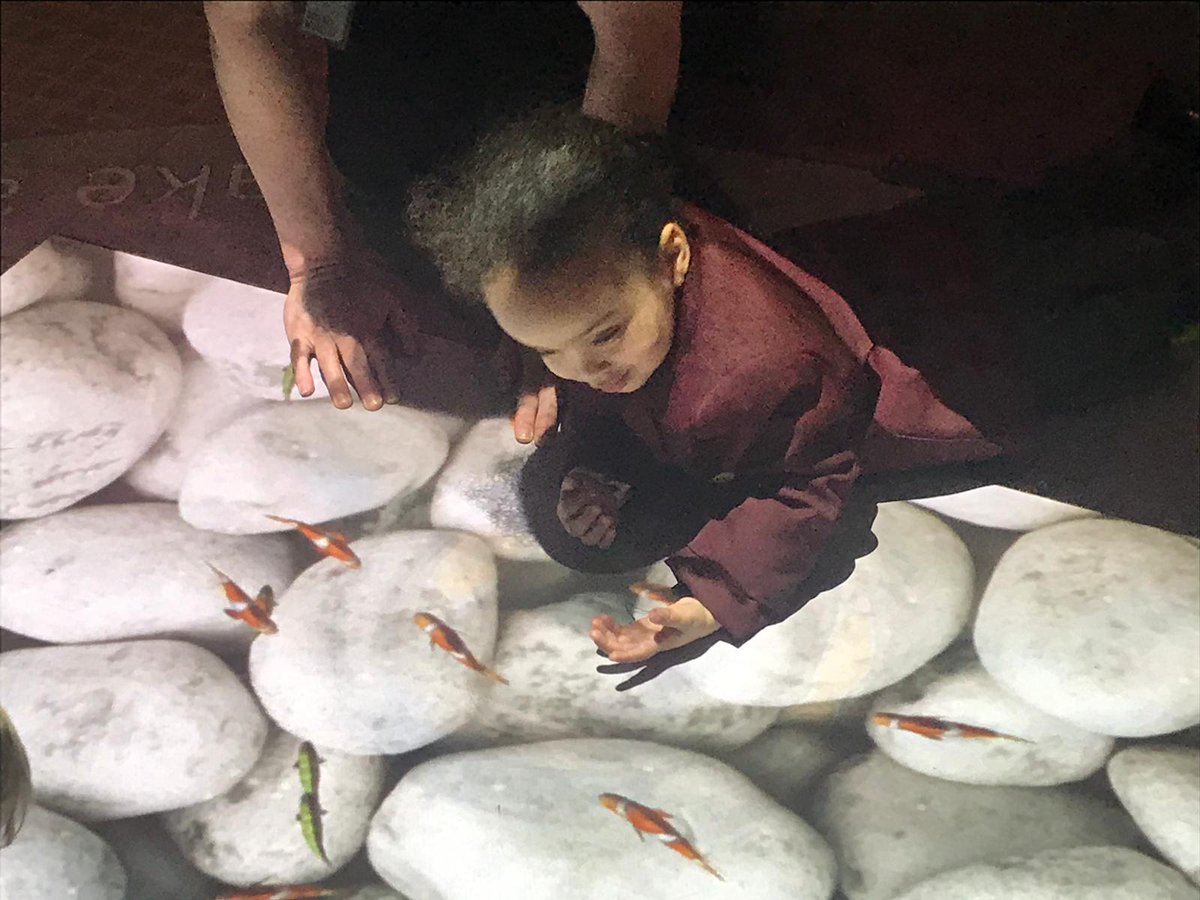 WickhamCourtSch's tweet photo. The children are having a wonderful time at the Science Museum. #wcseyfs #wcstrips #wcsevents #wcsscience https://t.co/J7H7OEVH7E