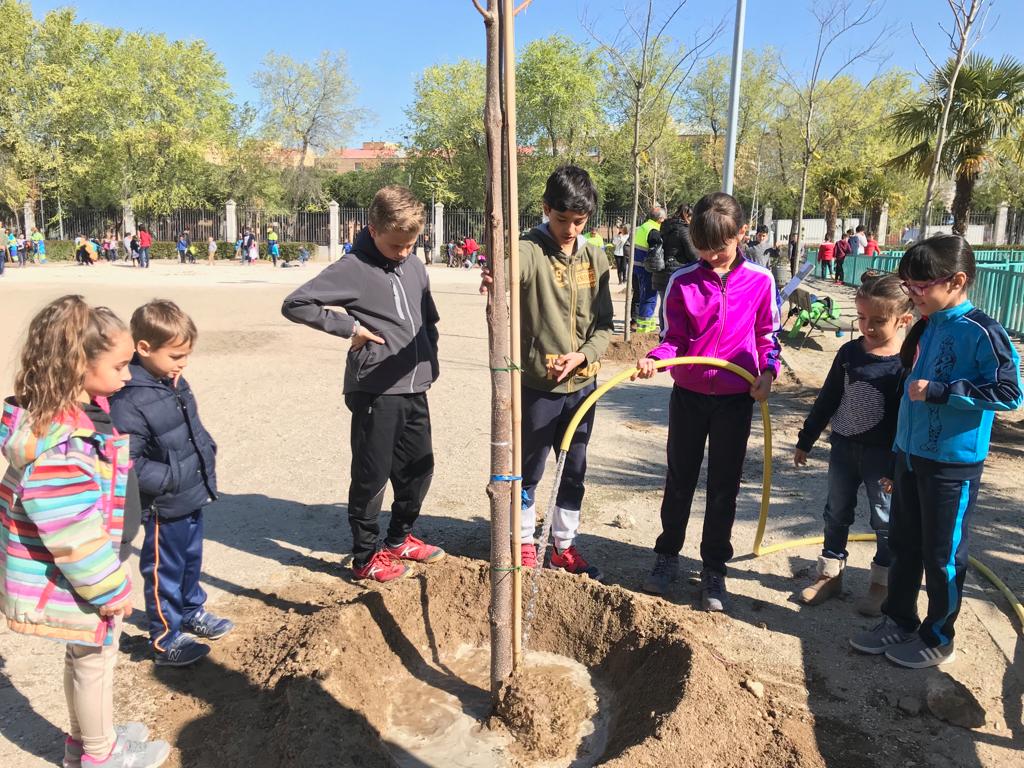 MostMedioAmb's tweet photo. Otro años más, hemos querido saludar a la primavera que viene celebrando el día del árbol. Gracias a los coles @ColegioCelaya, Principe de Asturias, Joan Miró, Andrés Segovia, Río Bidasoa, Pablo Sorozabal, Julián Besteiro y Luis Alvaréz Lencero por participar en la plantación https://t.co/aHsNsVS85e
