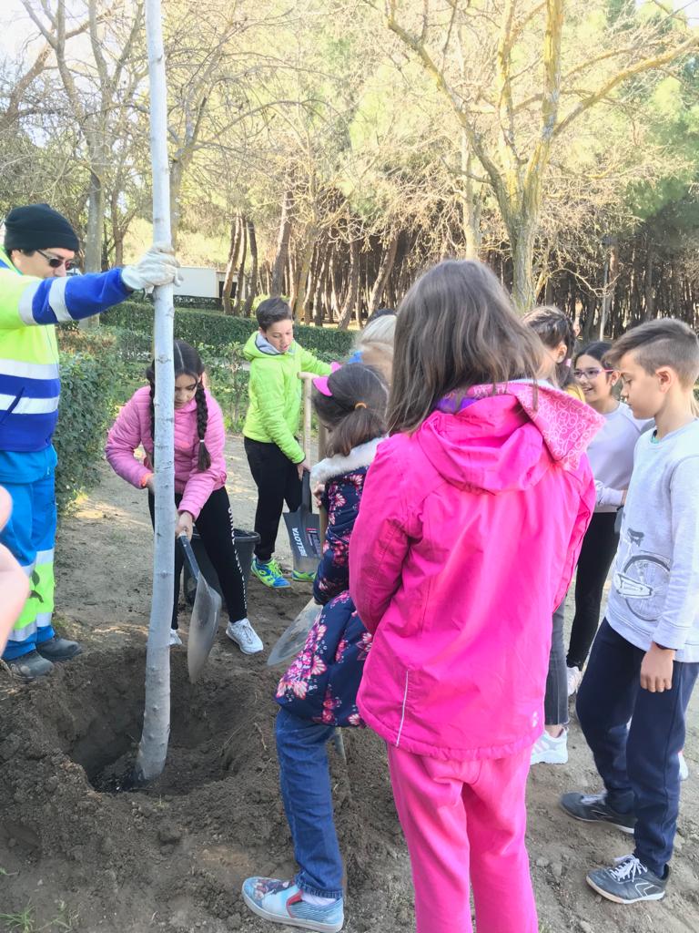 MostMedioAmb's tweet photo. Otro años más, hemos querido saludar a la primavera que viene celebrando el día del árbol. Gracias a los coles @ColegioCelaya, Principe de Asturias, Joan Miró, Andrés Segovia, Río Bidasoa, Pablo Sorozabal, Julián Besteiro y Luis Alvaréz Lencero por participar en la plantación https://t.co/aHsNsVS85e