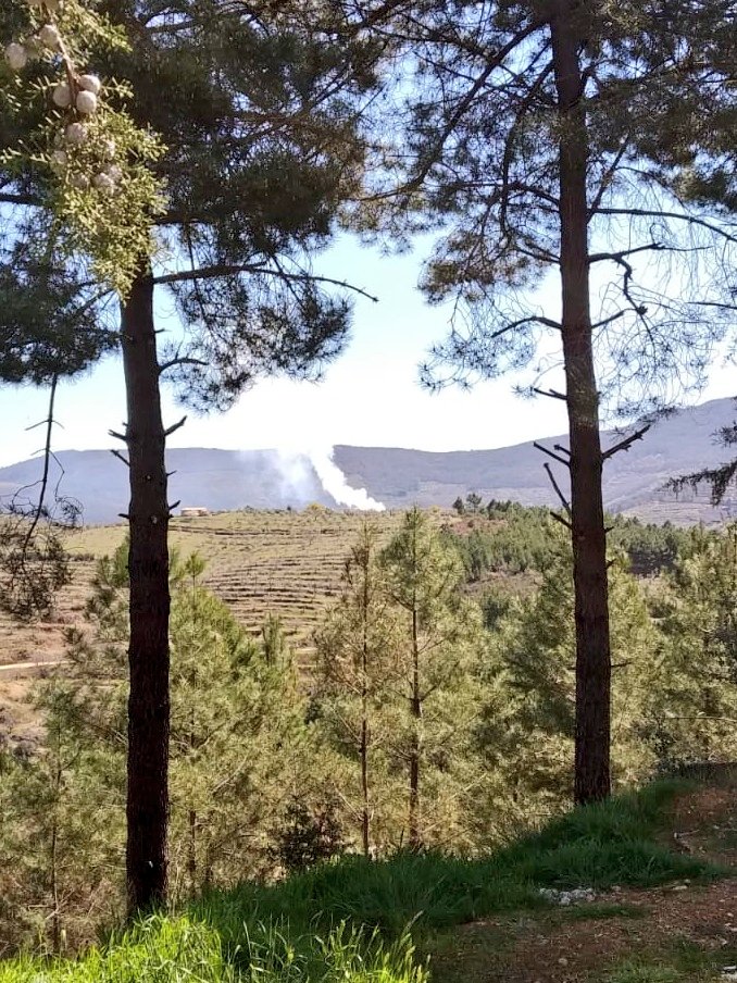 AT_Brif's tweet photo. 13:54 @BrifPINO activados por tierra para actuar en incendio forestal en #Azabal #Caceres y su 🚁 de bombardero  #BRIF-i #IIFF #BBFF ánimo compañeros 💪 https://t.co/sENlYGAnG9