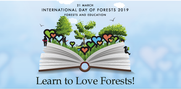 sfiprogram's tweet photo. Happy #InternationalDayOfForests! We are pleased to announce 5 #conservation #SFIgrants that builds on our commitment to conservation and increases our knowledge about the conservation benefits associated with #forests influenced by the #SFI Standards. https://t.co/o6nwYt8H10 https://t.co/DmPaAjfvhP