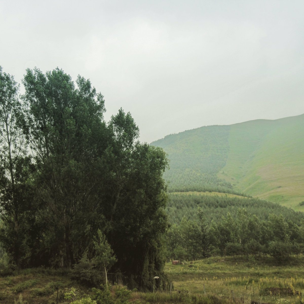 ArmenPoladian's tweet photo. Happy International Day of Forests! 🌳🌍💚 I took this photo of the Hrant Dink Memorial Forest, planted by @ArmeniaTree in 2007, while volunteering in Armenia in 2017. Let’s do what we can to sustain life! #ForestDay #HrantDink #GetRooted https://t.co/byjyswibzJ