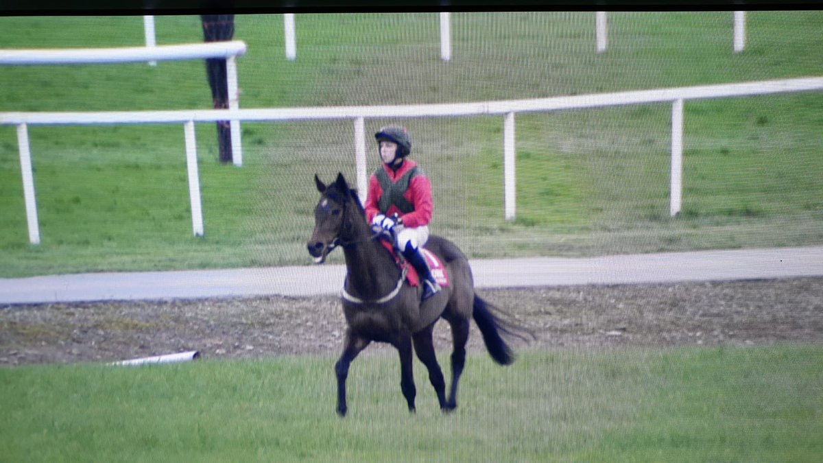 Congrats to our very own <a href="/DoylerNiamh/">Niamh McCurtin</a> who rode <a href="/corkracecourse/">Cork Racecourse</a> today - delighted you’ll be back to the office in one piece tomorrow 😉🐎👍🏻