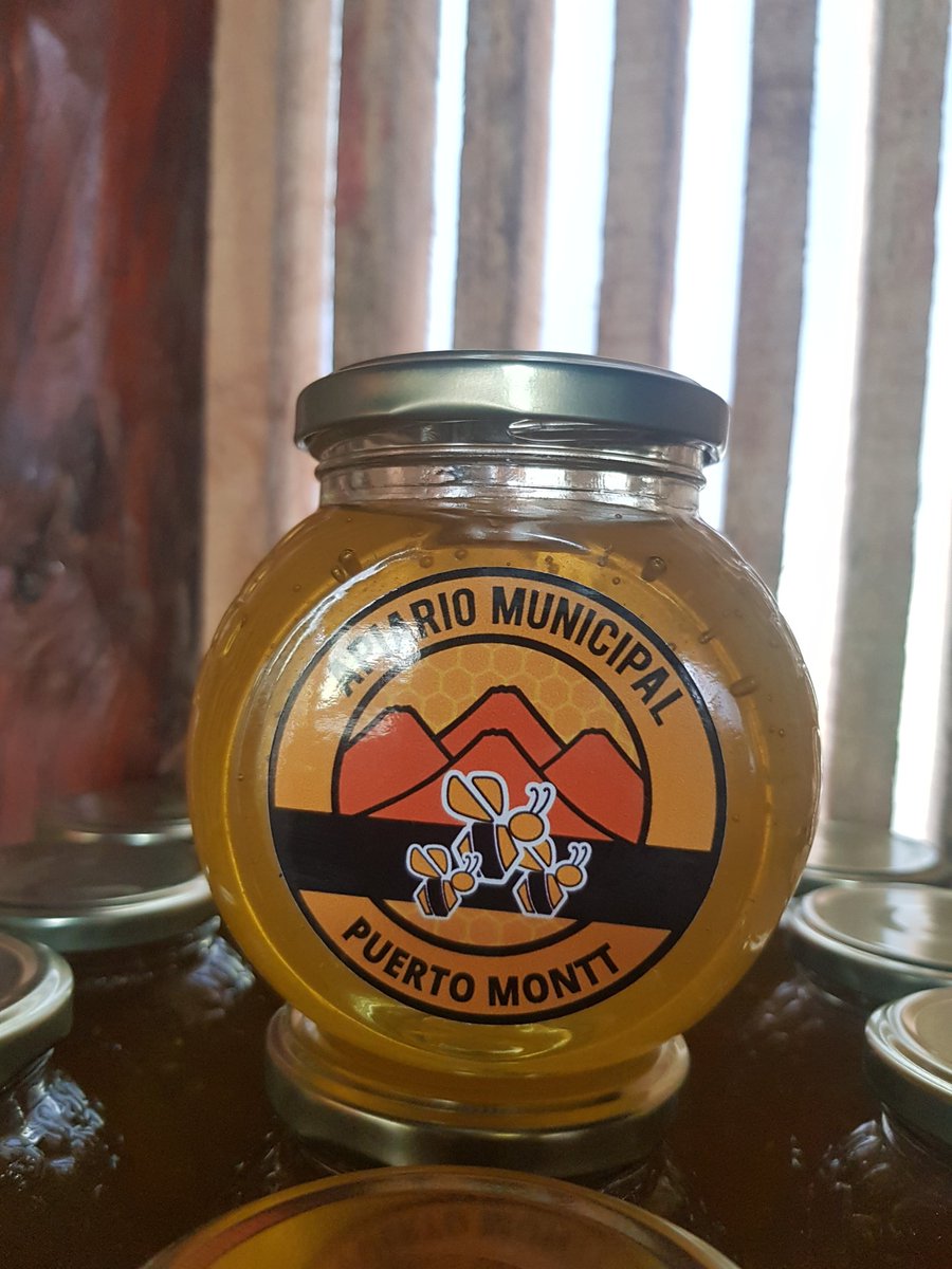 nualart_'s tweet photo. Ya estamos envasando la miel de nuestro #apiariomunicipal de #puertomontt 🐝🐝, bonito color cierto? 🇨🇱 https://t.co/05Dxz62xZN