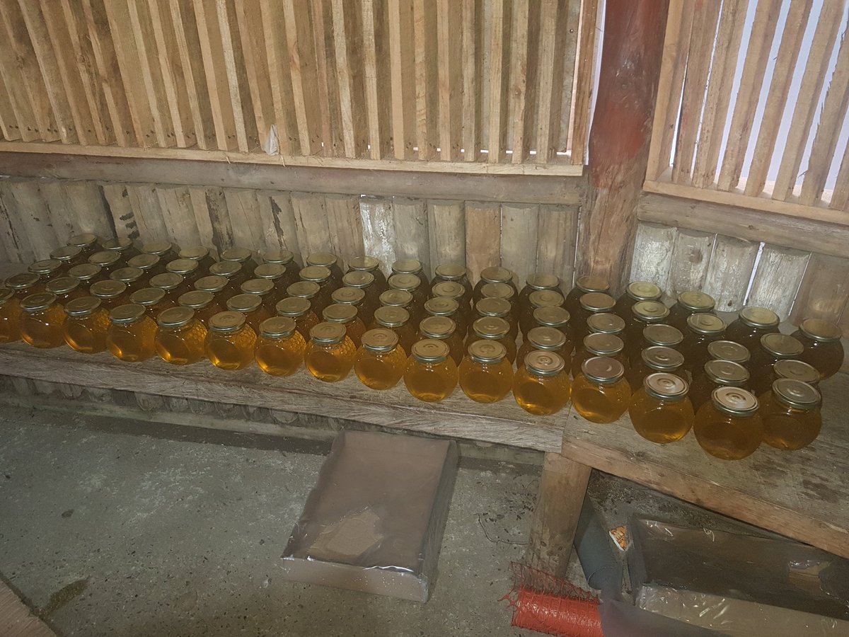 nualart_'s tweet photo. Ya estamos envasando la miel de nuestro #apiariomunicipal de #puertomontt 🐝🐝, bonito color cierto? 🇨🇱 https://t.co/05Dxz62xZN