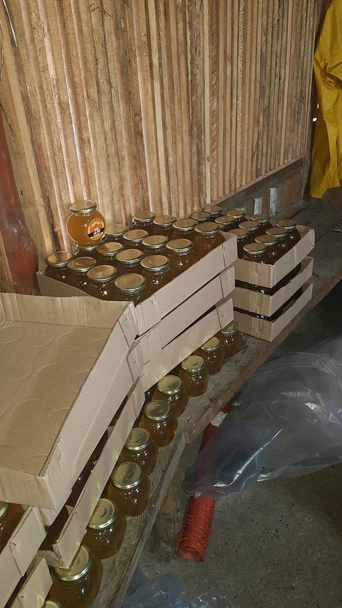Ya estamos envasando la miel de nuestro #apiariomunicipal de #puertomontt 🐝🐝, bonito color cierto? 🇨🇱