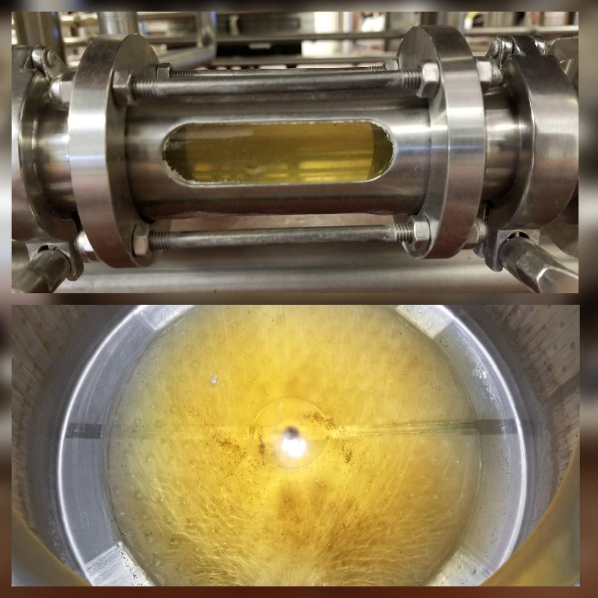 ruhbrewer's tweet image. Lautering some delicious Weyermann Barke Pils wort. @BSGCraftBrewing @BadWeatherBrew #kellerpils #weyermann #decoction #blahgers