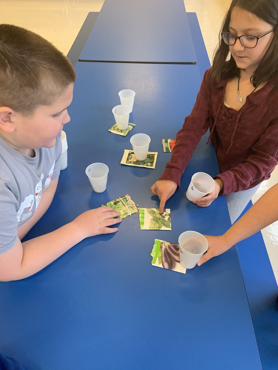 Planting vegetable seeds in our hydroponic tower garden! And tasting some yummy fruits and veggies too!@FawnArea