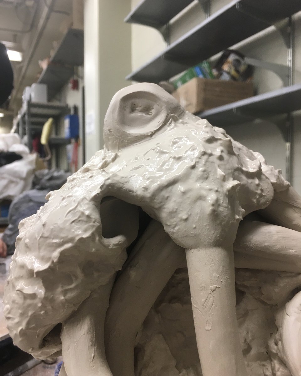 Up close and personal!