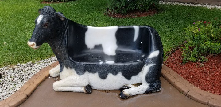 ngrove74's tweet photo. #cowch https://t.co/BKvVQrrwUV