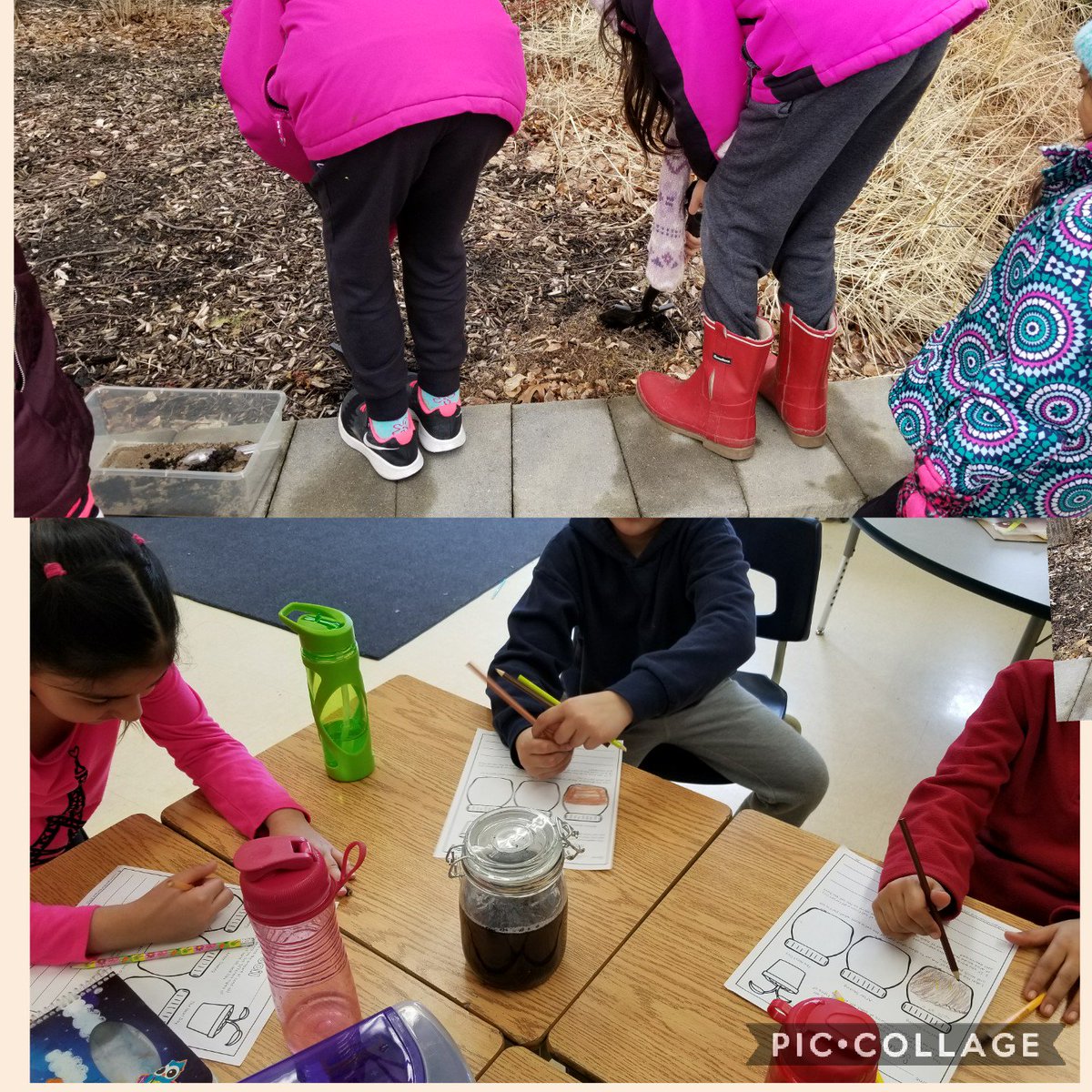Mrs_Tingle's tweet photo. Analyzing the sand, silt and clay in the soil at Larkspur Public School ! @LarkspurPS https://t.co/Xb1HLiI3a2