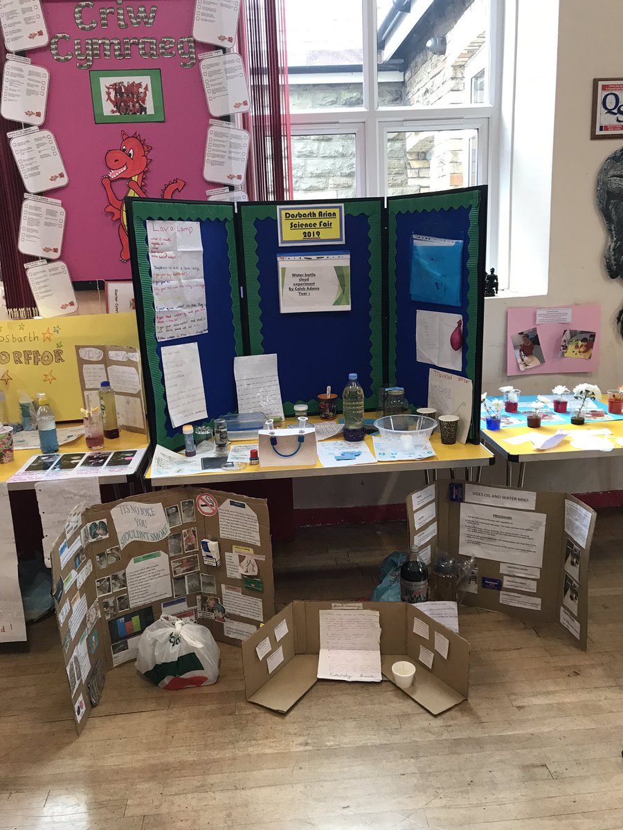 DosbarthArian's tweet photo. A huge thank you to @Ysgolnantgwyn Mrs Daley and @Agsma for coming to judge our Science Fair projects today!! What a tricky job it turned out to be! #cwmambitious #cwmcapable #CwmScienceWeek2019 https://t.co/QVJZINd6s9