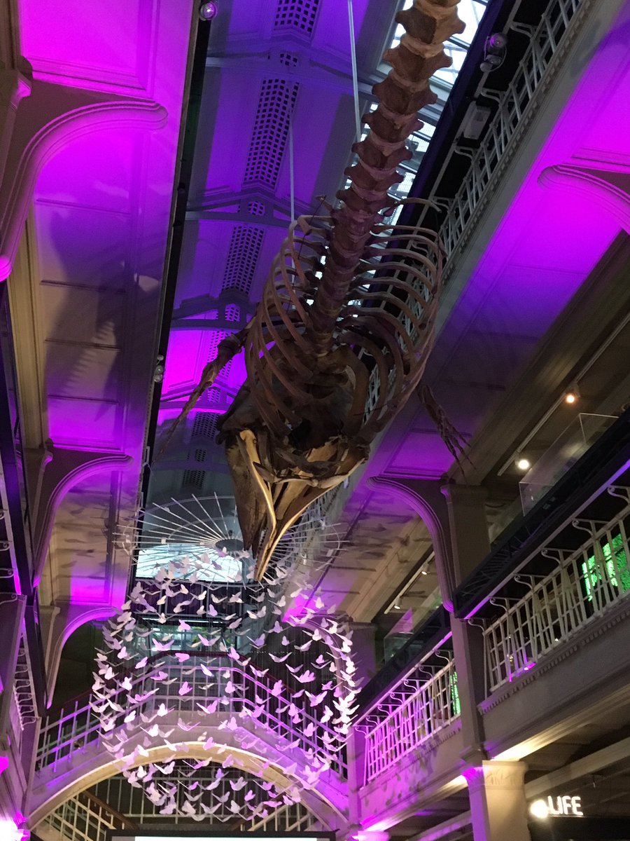 h_j_dobson's tweet photo. In this fantastic space tonight for #MMAfterhours @McrMuseum https://t.co/qpVqwhjOLT