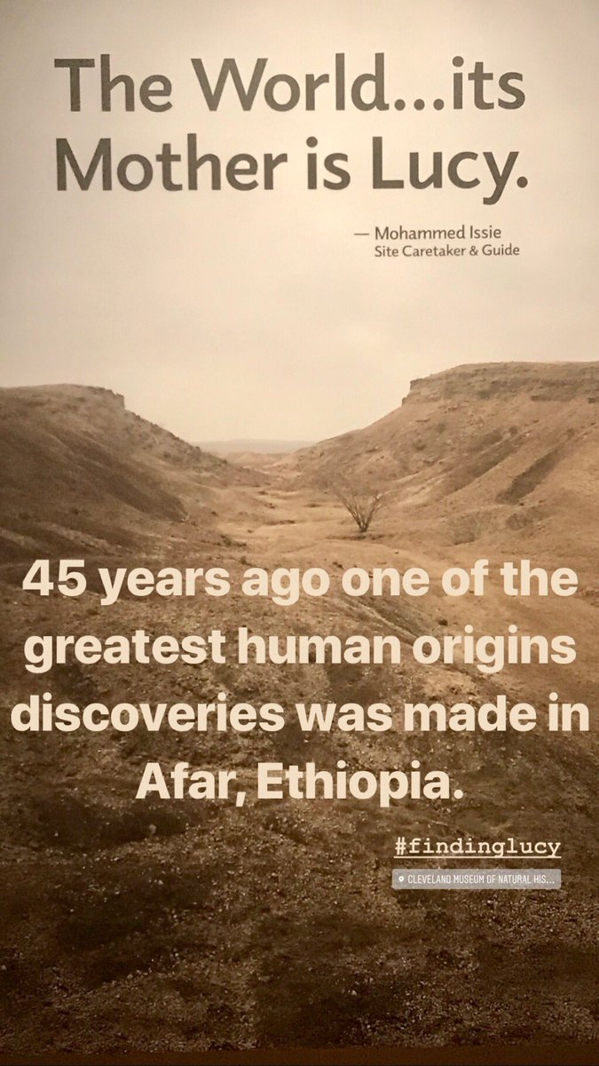 goCMNH's tweet photo. #FindingLucy: Our First Steps In Discovery opens March, 23rd! https://t.co/NjPcyBMzJc