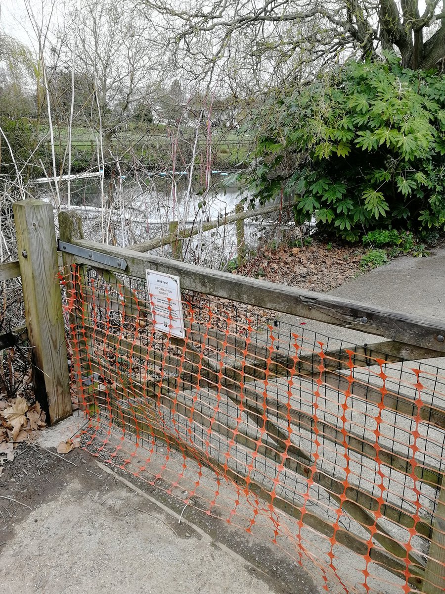 Friends Of Horsham Park tweet media