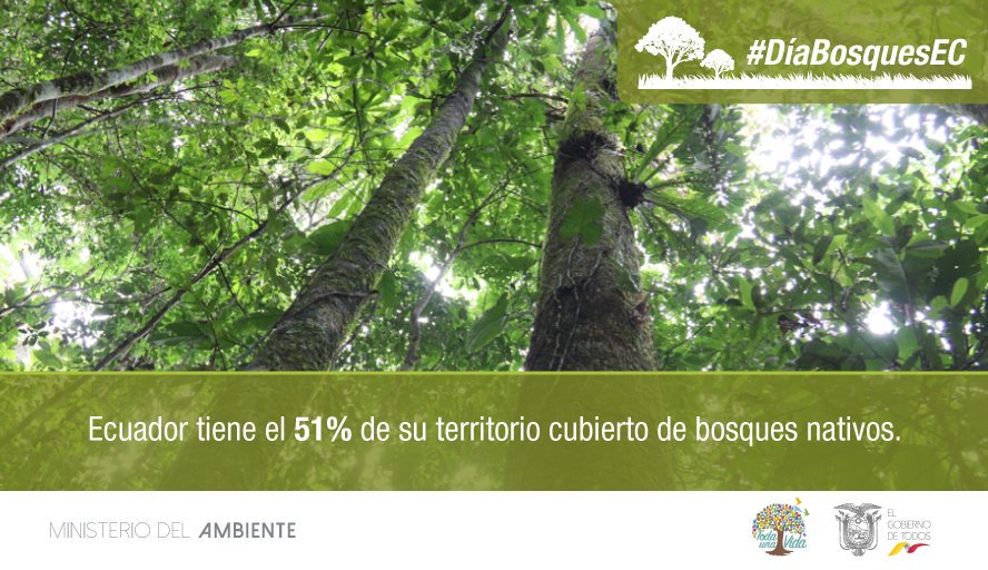 EcuadorMAE's tweet photo. Los bosques nativos son de vital importancia ya que generan bienes y servicios para la población de forma directa e indirecta. 
#DíaBosquesEC https://t.co/2yqx5znRjr
