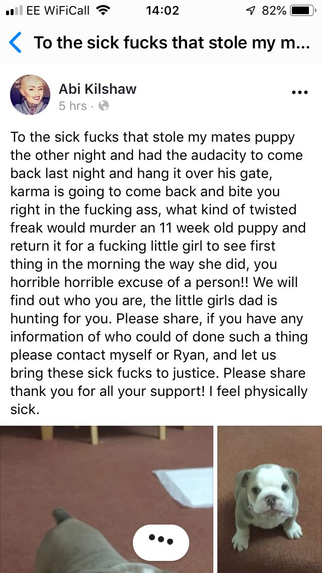 KarenFi51820768's tweet photo. What is going on in this Country this is horrendous I really can’t cope today 😭😭😭why would anyone steal a #puppy and then kill the poor thing and hang it back on their fence @rickygervais please #RT this and help find the evil shits that did this 😭😭😭 #AnimalCruelty #RT https://t.co/UNoeSceWKQ