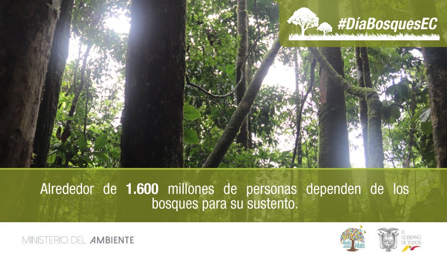 EcuadorMAE's tweet photo. Los bosques serán más importantes que nunca a medida que la población mundial aumente. 
#DíaBosquesEC https://t.co/2YiuBUGGAh