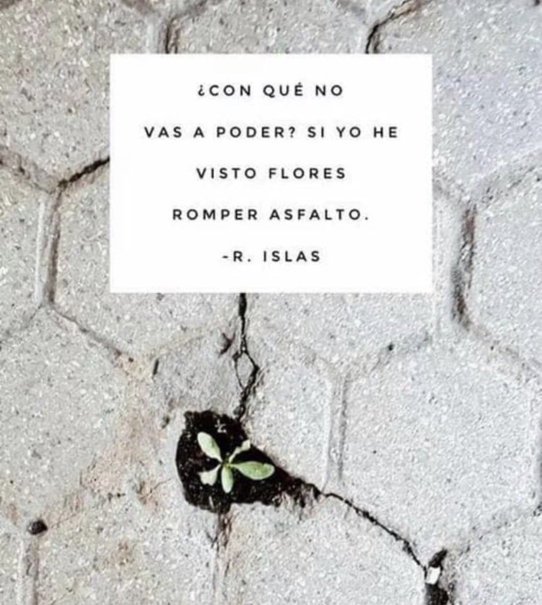 ro 🌶 (@rociopaterna) on Twitter photo 