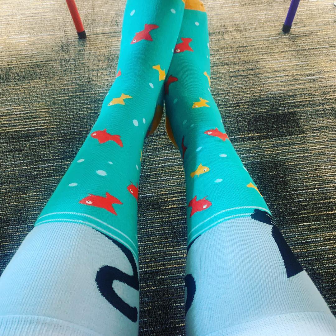 MrsHamiltonMJE's tweet photo. In support of #WorldDownSyndromeDay I am rocking my crazy cat lady socks! #321 #justanextrachromosome #abilitiesoverdisabilities @MJEjags @MJEFirstGrade https://t.co/zVWy56gYve