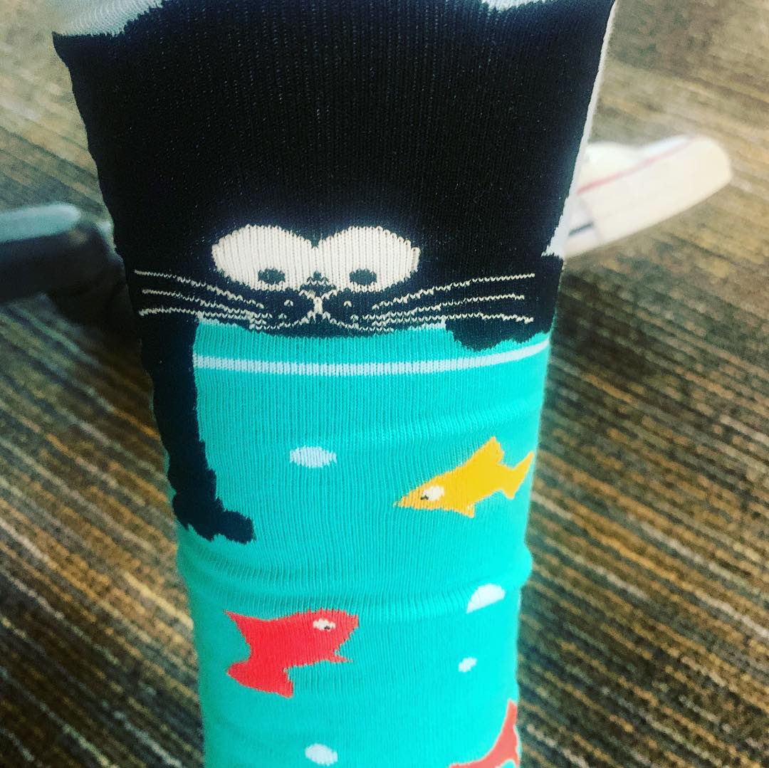 MrsHamiltonMJE's tweet photo. In support of #WorldDownSyndromeDay I am rocking my crazy cat lady socks! #321 #justanextrachromosome #abilitiesoverdisabilities @MJEjags @MJEFirstGrade https://t.co/zVWy56gYve