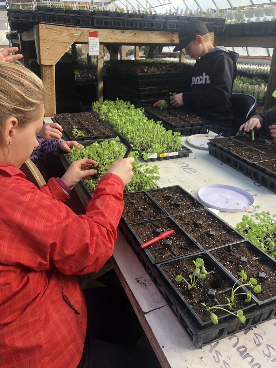 misshitchens's tweet photo. Yesterday the 7-9 PAA classes went to the Moose Bay Green House to learn about seeding, transplanting, soil mixtures, and propagation. #Horticultural #Handson #FieldTrip @GraysonSchoolSK https://t.co/Yl9x8gMjxh