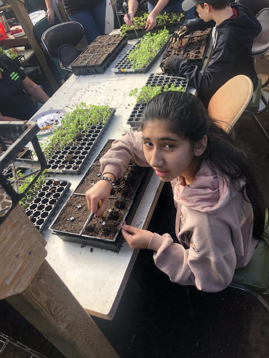 misshitchens's tweet photo. Yesterday the 7-9 PAA classes went to the Moose Bay Green House to learn about seeding, transplanting, soil mixtures, and propagation. #Horticultural #Handson #FieldTrip @GraysonSchoolSK https://t.co/Yl9x8gMjxh