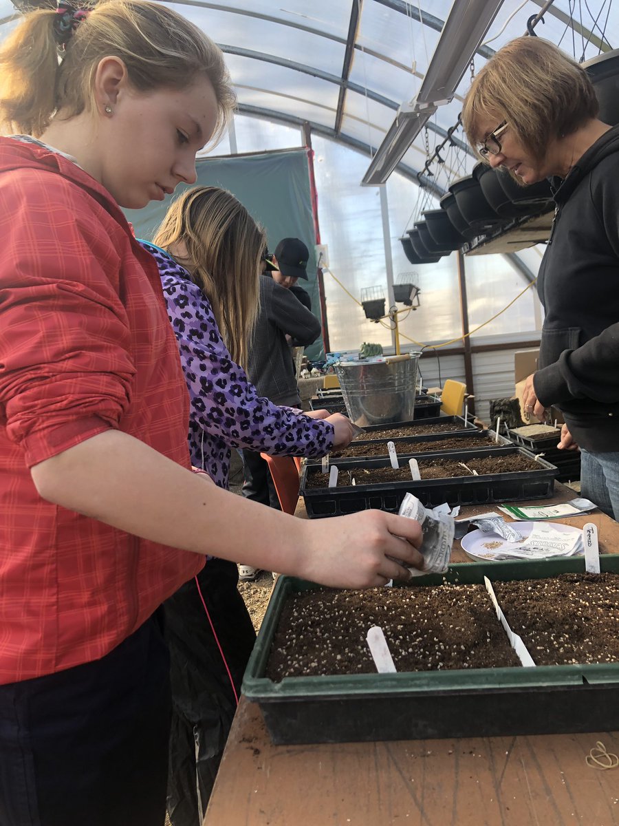 misshitchens's tweet photo. Yesterday the 7-9 PAA classes went to the Moose Bay Green House to learn about seeding, transplanting, soil mixtures, and propagation. #Horticultural #Handson #FieldTrip @GraysonSchoolSK https://t.co/Yl9x8gMjxh