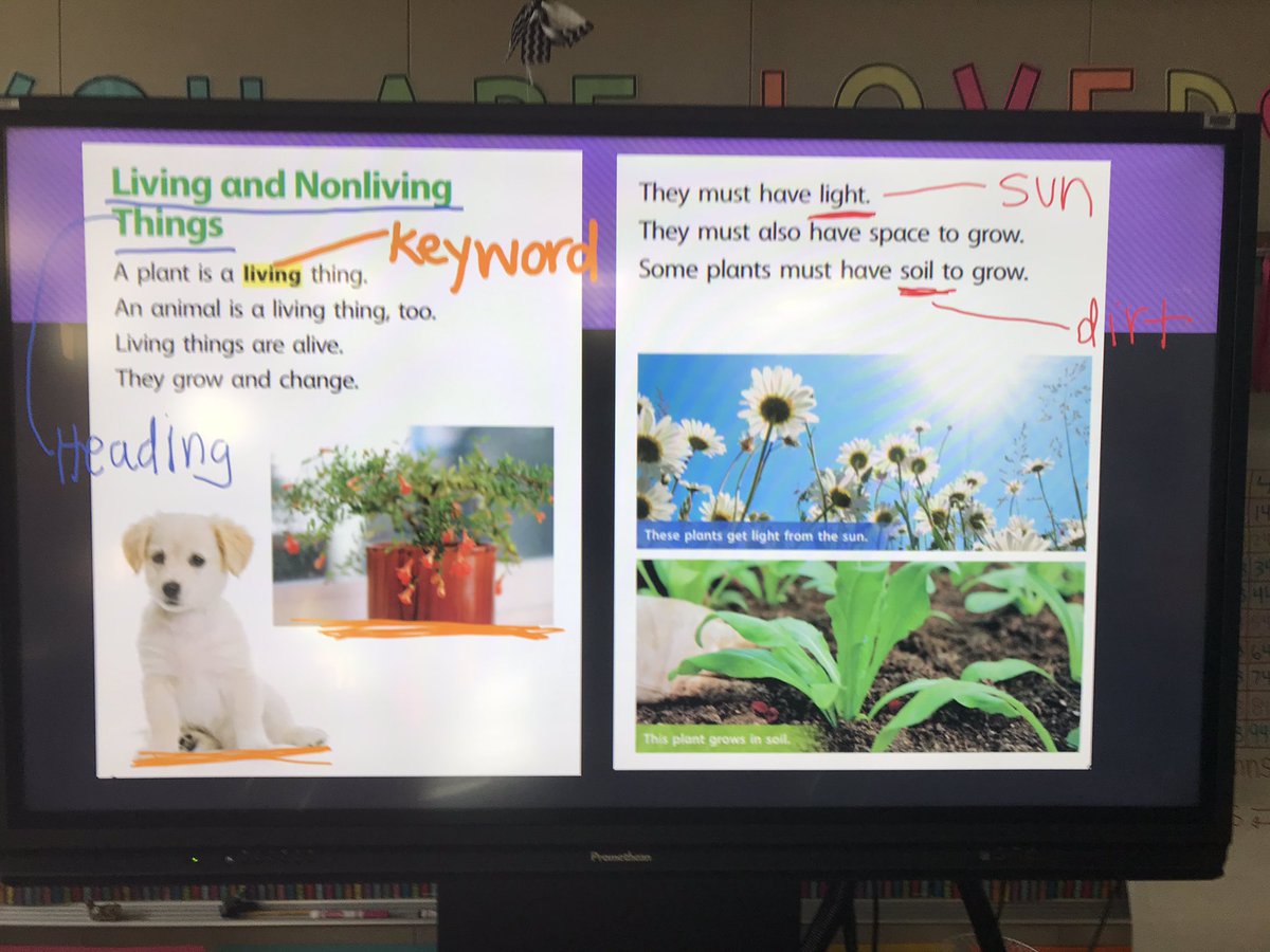 MrsHoffpauer's tweet photo. So blessed to be in a district with awesome technology and training! Loving my Promethean, especially after learning about all the cool stuff I can use it for! @CFISDWalker #CFISDSpirirt #wearewalker https://t.co/NcjCeaYjhL