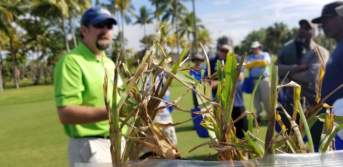 Phil Busey Agronomy tweet media