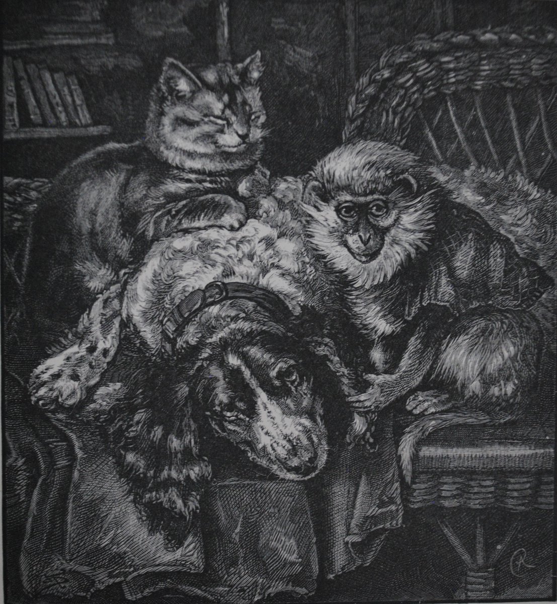 pethistories's tweet photo. There is still plenty of time to register for our Animals &amp; the Home Conference on 1st May 2019. For details of the programme and how to register head on over to our website: https://t.co/ZgFJQ9YlHP Registration is free but required. #pethistories #animalhistory #twitterstorians https://t.co/9Y5T0A6OvN