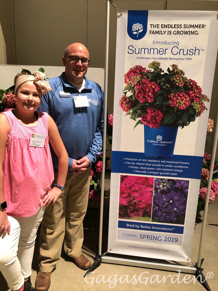 gagasgarden's tweet photo. Love from @BaileyNurseries @ChicagoFlower 

XOXO #EndlessSummerHydrangeas 

##chicagoflower #getgrowing #flowertales #spring #hydrangeas #chicago #xoxo https://t.co/ynk4LAj1U7