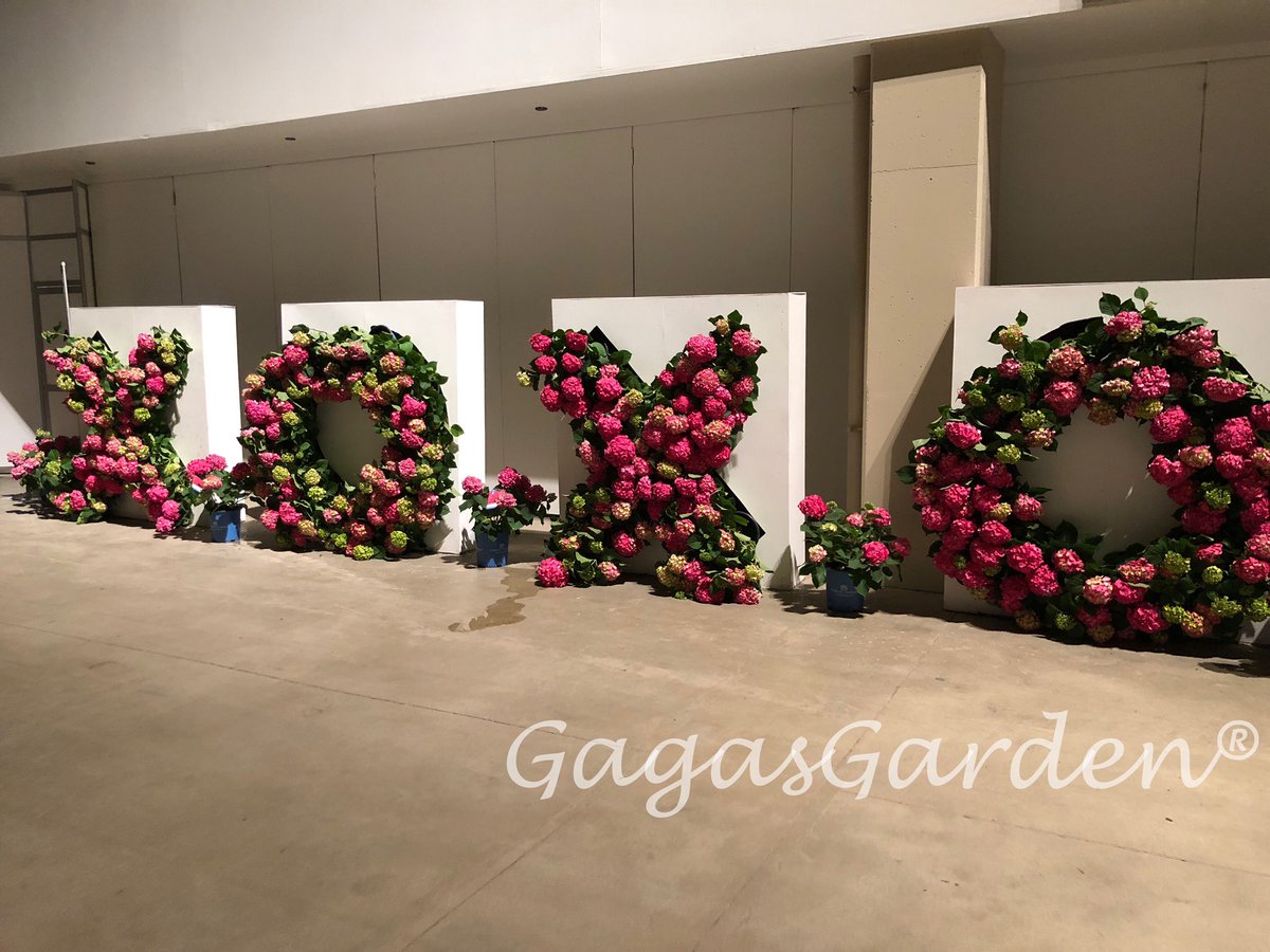 gagasgarden's tweet photo. Love from @BaileyNurseries @ChicagoFlower 

XOXO #EndlessSummerHydrangeas 

##chicagoflower #getgrowing #flowertales #spring #hydrangeas #chicago #xoxo https://t.co/ynk4LAj1U7