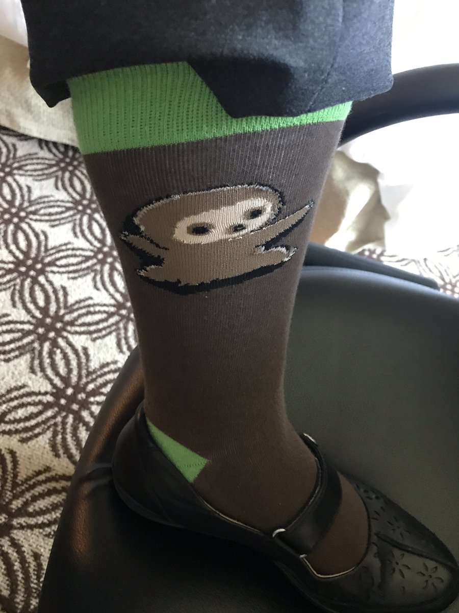 schmemela's tweet photo. Thursday Slocks day! #SlothSocks #SocksOfLPSC https://t.co/2QmmhkN4dQ