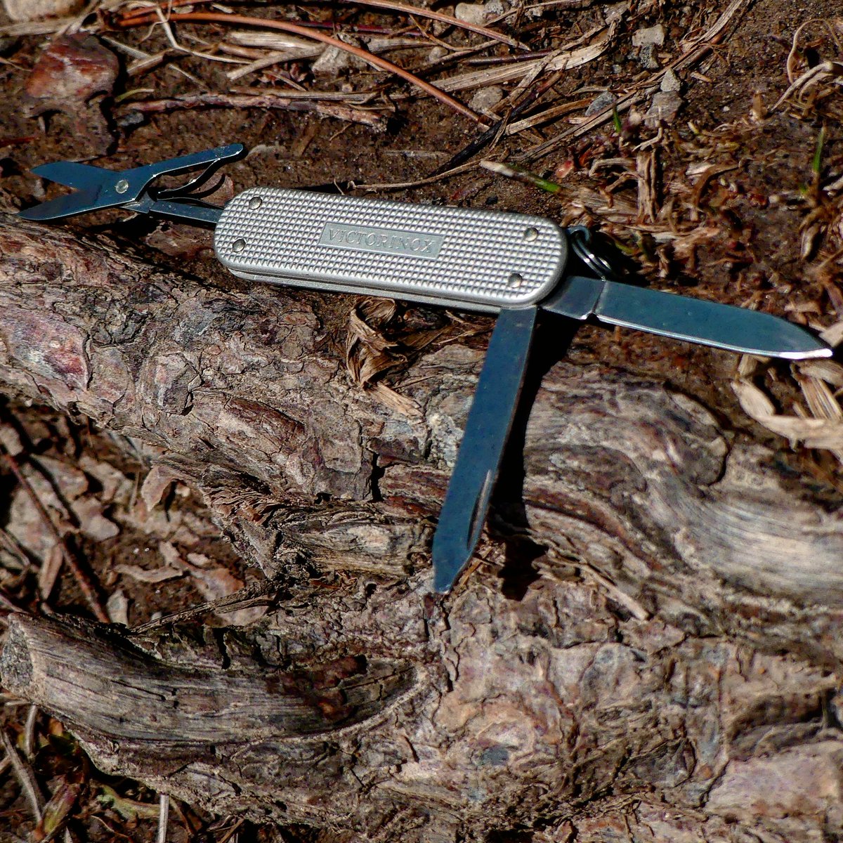 TNO_TV's tweet photo. The good old #VictorinoxClassic. This little guy is still kicking around well after being in my first review years ago.
#EveryDayCarry #EveryDayCarryKnife #KeyChainKnife #OntarioOutdoors #WhatGetsYouOutside #SwissArmyKnife #SAC #KnifePhotography #LumixFZ300 #TNO_TV https://t.co/Nwl52myLIx