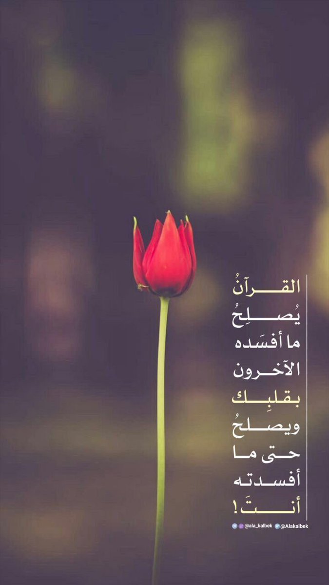 memohed59gmail1's tweet photo. https://t.co/rfdclmezw8