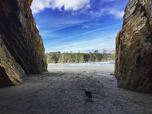sergibasoli's tweet photo. Beaching around 🌴 .
.
.
.
.
.
.
.
.
#sailordog #adventure #travel #photography #landscape #adventuredogsofficial
#dogsofinstagram #explore #wanderlust #naturephotography #outdoors #outigo #adventureseeker #doyoutravel #goexplore #wonderfulplaces #lovetotravel #dog #explorew… https://t.co/tncoWPoeTr